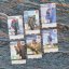 Peaks - Backpacker edition (slightly damaged box)